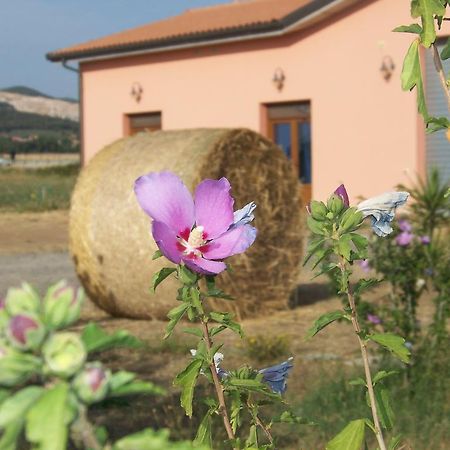 Agriturismo La Nocciolina Venturina Terme Exterior foto