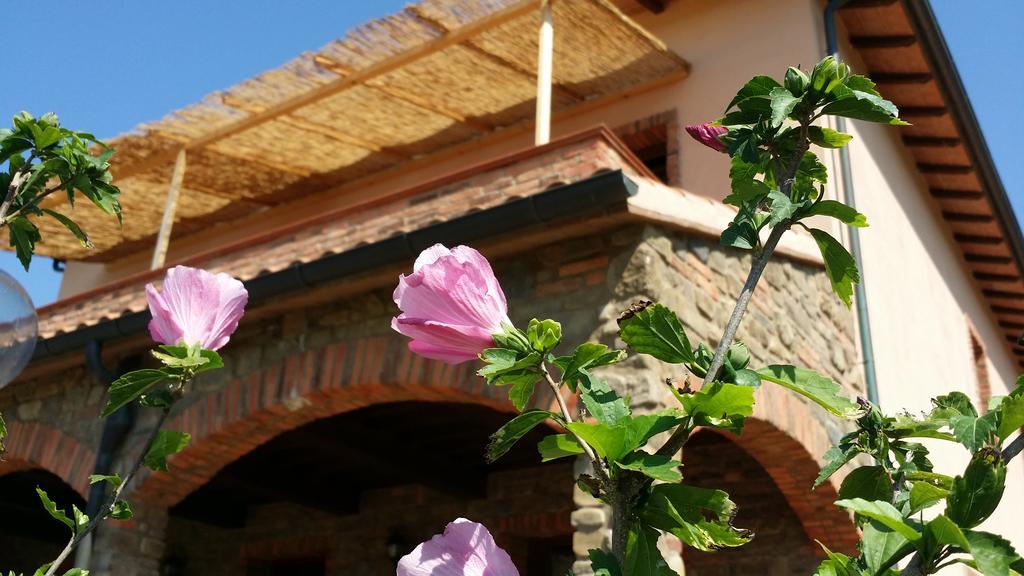 Agriturismo La Nocciolina Venturina Terme Exterior foto