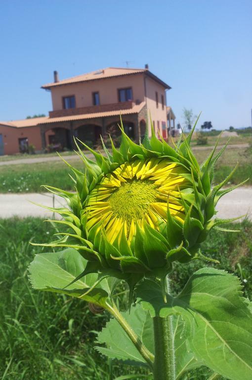 Agriturismo La Nocciolina Venturina Terme Exterior foto