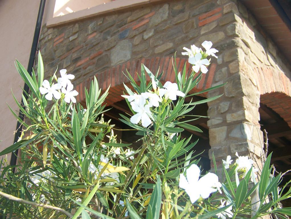 Agriturismo La Nocciolina Venturina Terme Exterior foto
